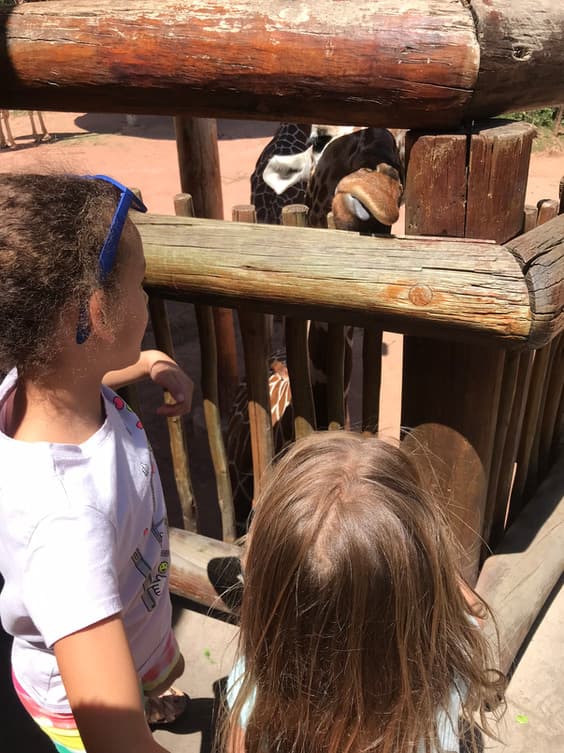 Cheyenne Mountain Zoo photo 3